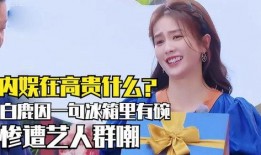 娱乐大爆料白鹿冰箱,揭秘明星家居新宠，娱乐大爆料背后的时尚生活