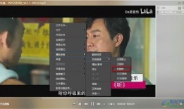 新春乌鸦爆料视频播放